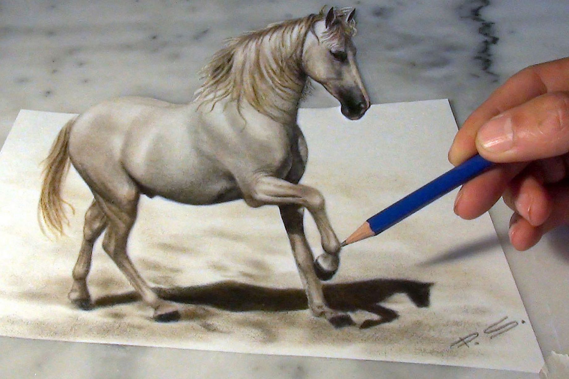 Equestrian Themed Optical Illusion Pictures
